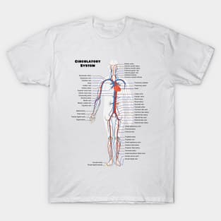 Human Circulatoy System Chart T-Shirt